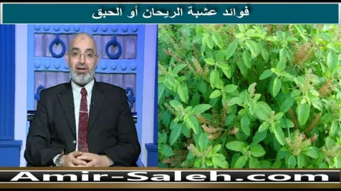 فوائد الريحان أو الحبق
